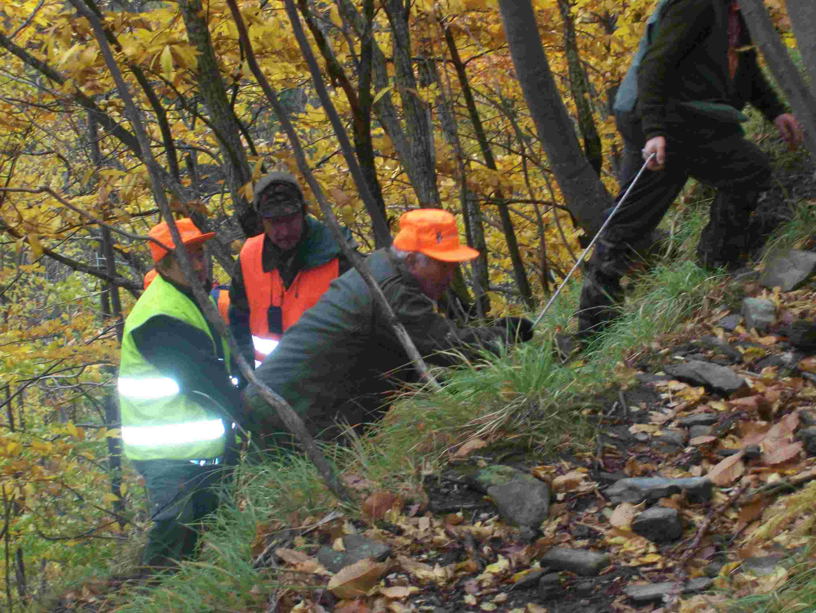  Image name: 22 Caccia.JPG 
 width: 2832 pixel 
 height: 2128 pixel 
 Size: 195609 bytes 
 Click to enlarge 